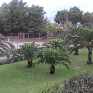 Rok akademicki 2018/2019